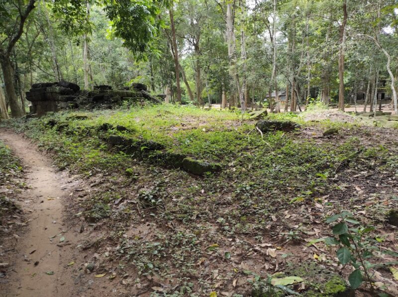 Ta Prohm Temple – Layout, History, Visiting Guide and More | Hello Angkor